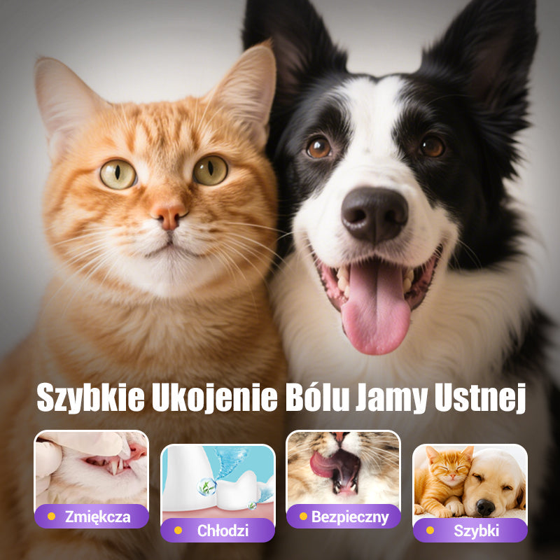 🐕Kup 1 otrzymaj 1 gratis🐱 Żel naprawczy do jamy ustnej dla zwierząt🦷