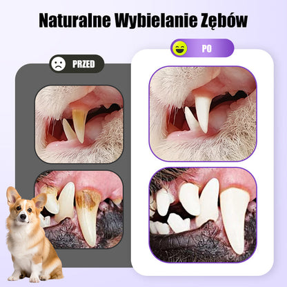 🐕Kup 1 otrzymaj 1 gratis🐱 Żel naprawczy do jamy ustnej dla zwierząt🦷